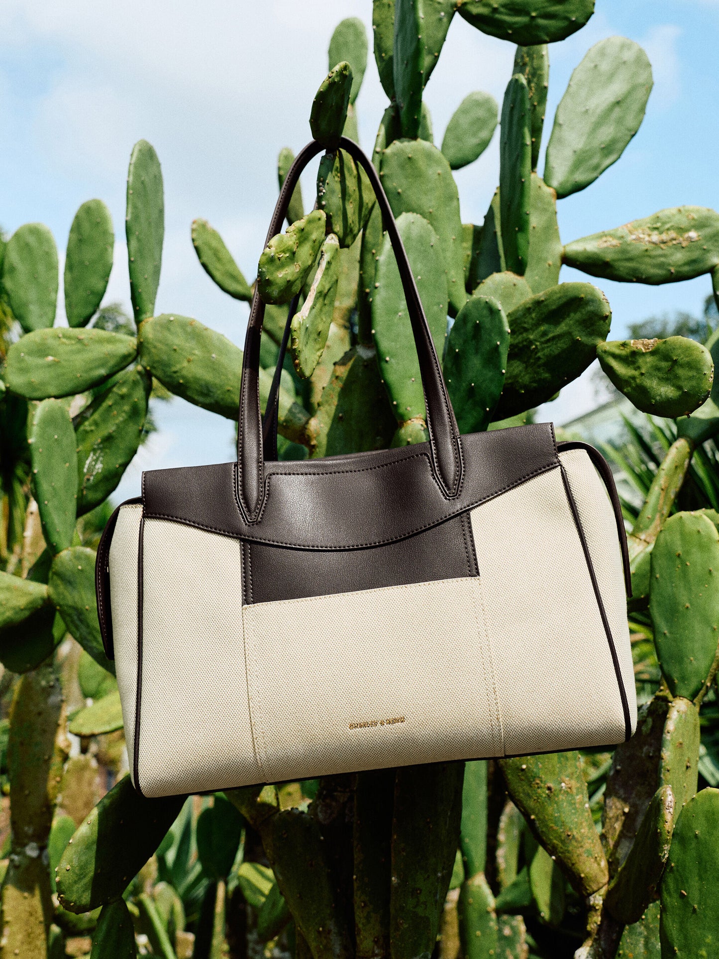 Roan Canvas Tote Bag - Espresso Brown | CHARLES & KEITH