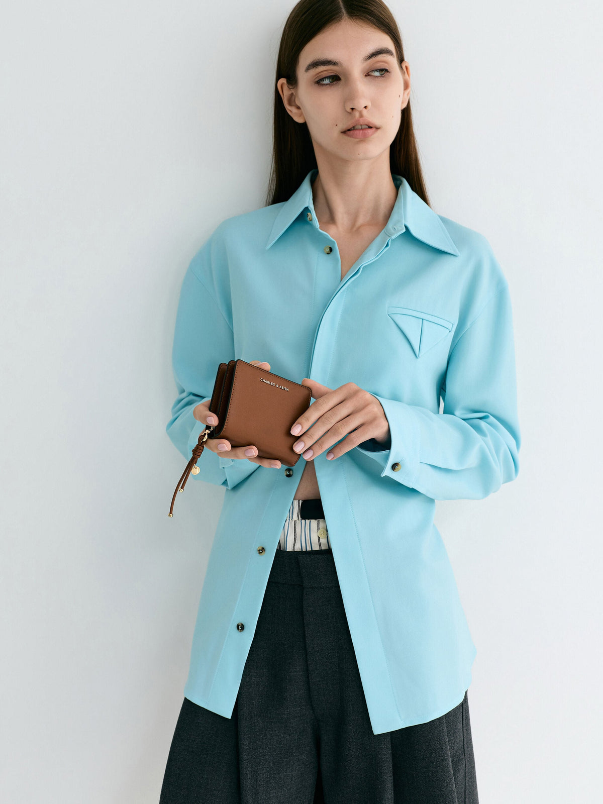 Everleigh Zip-Around Small Wallet - Chocolate | CHARLES & KEITH