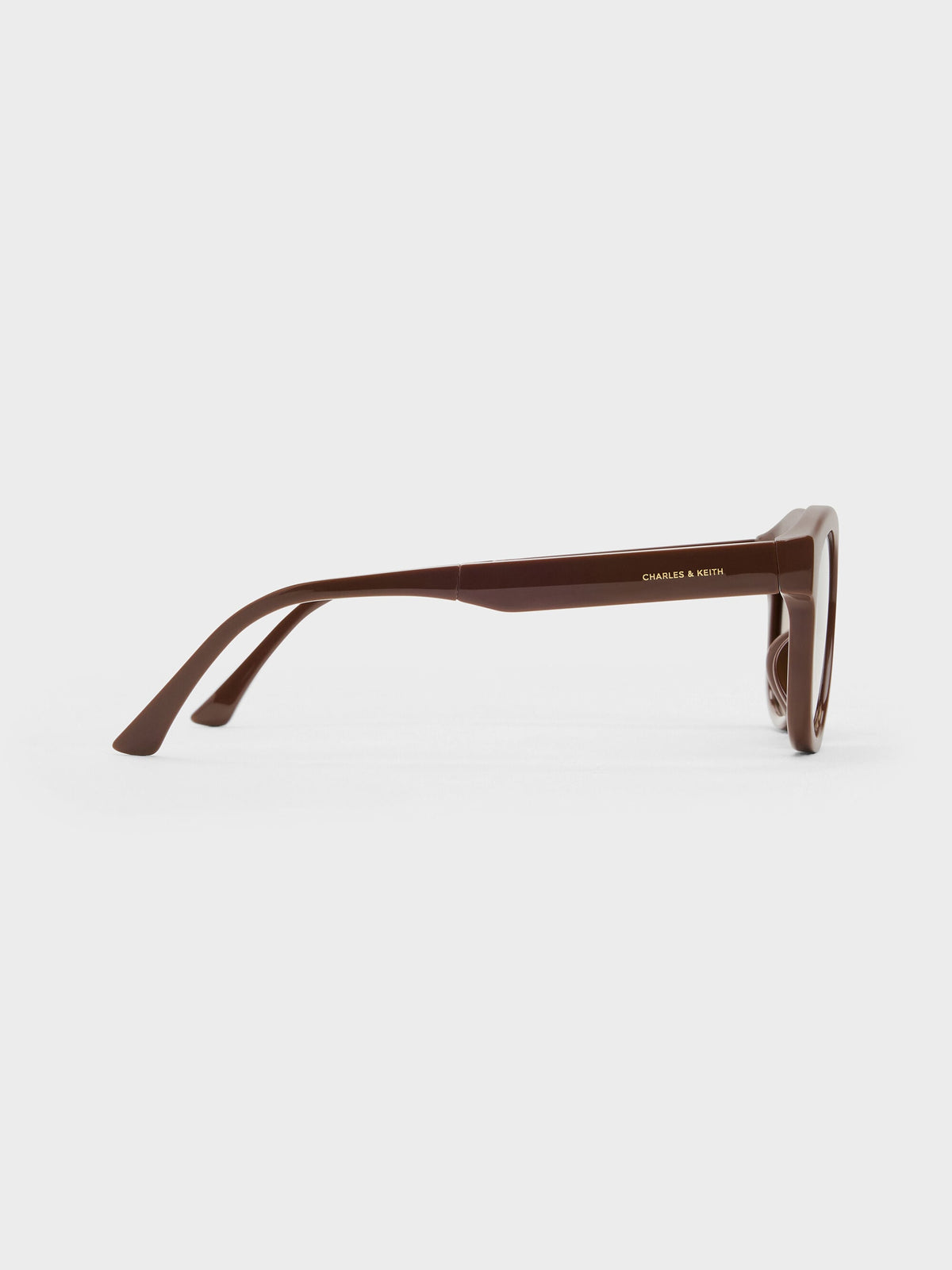 Brea Round Sunglasses - Pecan Brown | CHARLES & KEITH