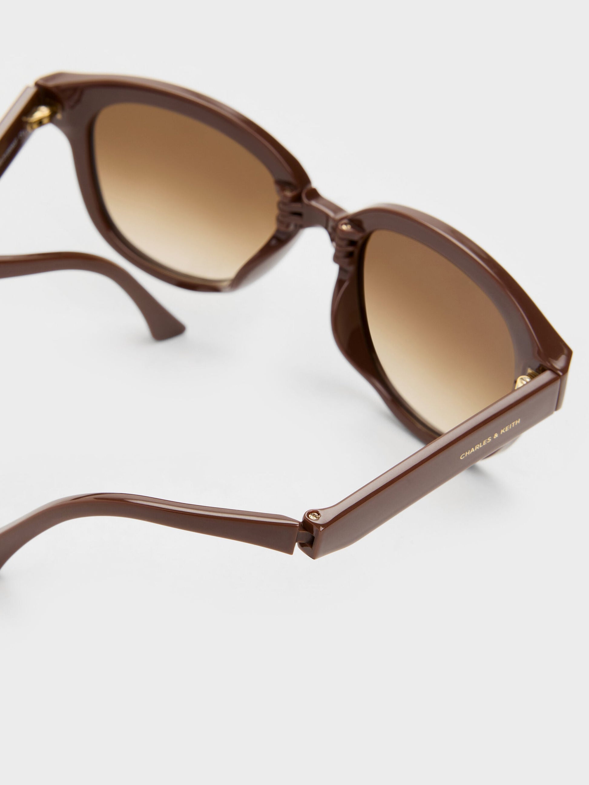 Brea Round Sunglasses - Pecan Brown | CHARLES & KEITH