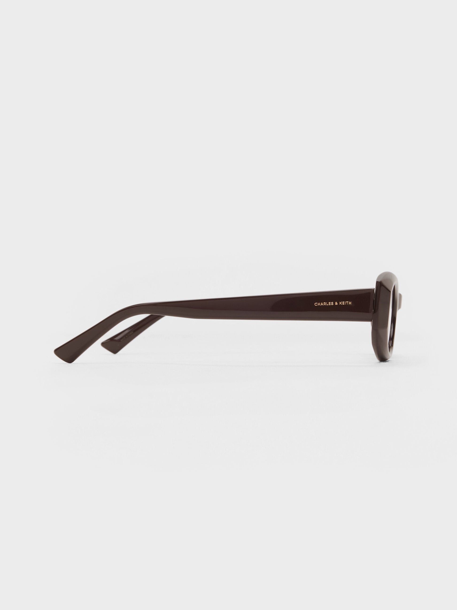 Aubrey Oval Sunglasses - Espresso Brown | CHARLES & KEITH