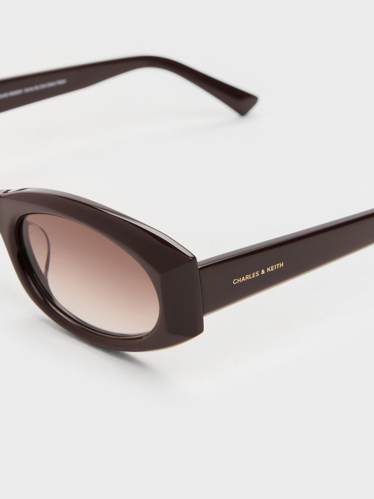 Aubrey Oval Sunglasses - Espresso Brown | CHARLES & KEITH