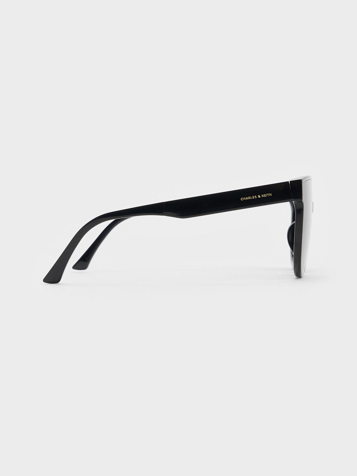 Brea Foldable Aviator Sunglasses - Black | CHARLES & KEITH