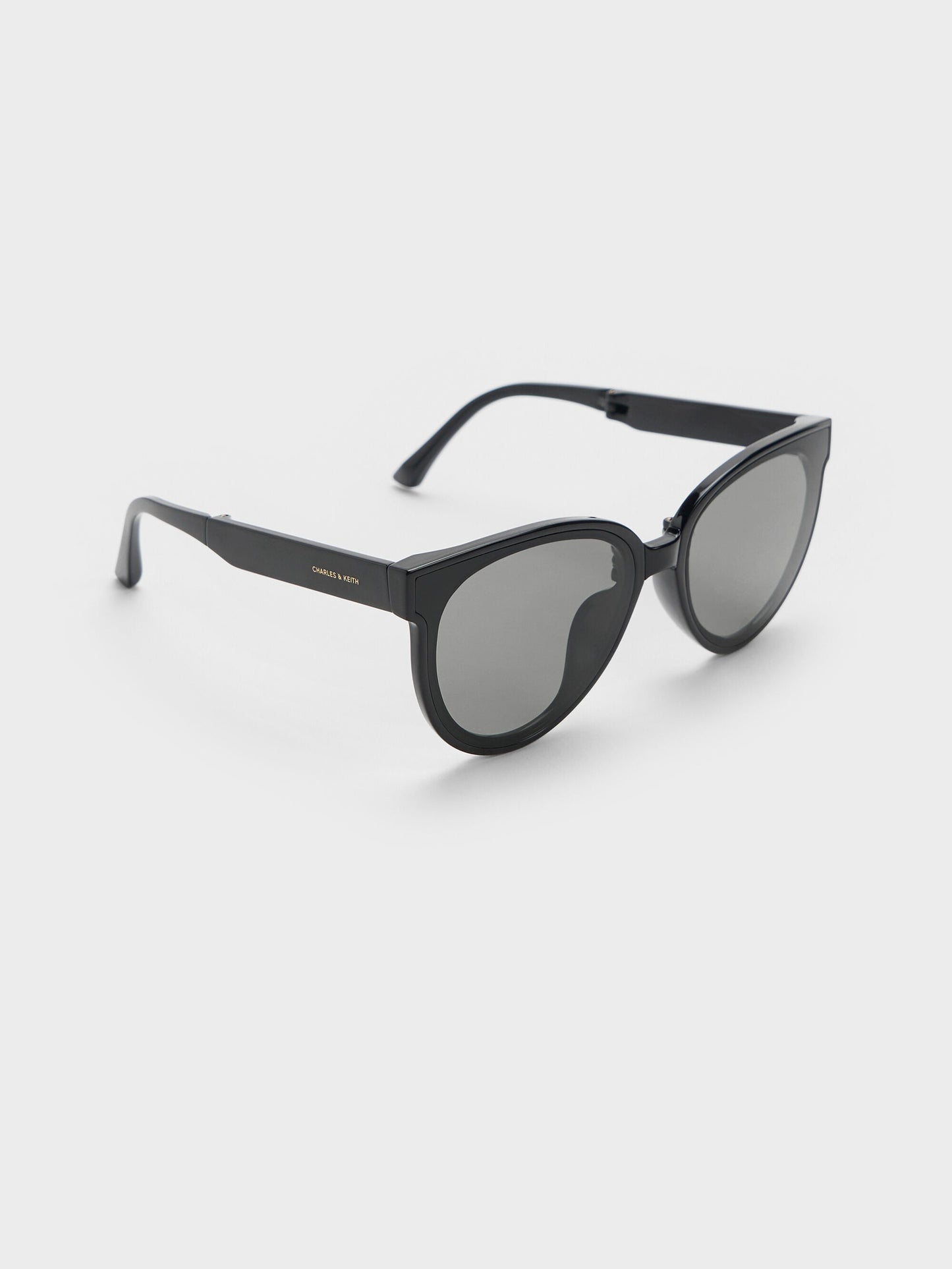 Brea Foldable Aviator Sunglasses - Black | CHARLES & KEITH