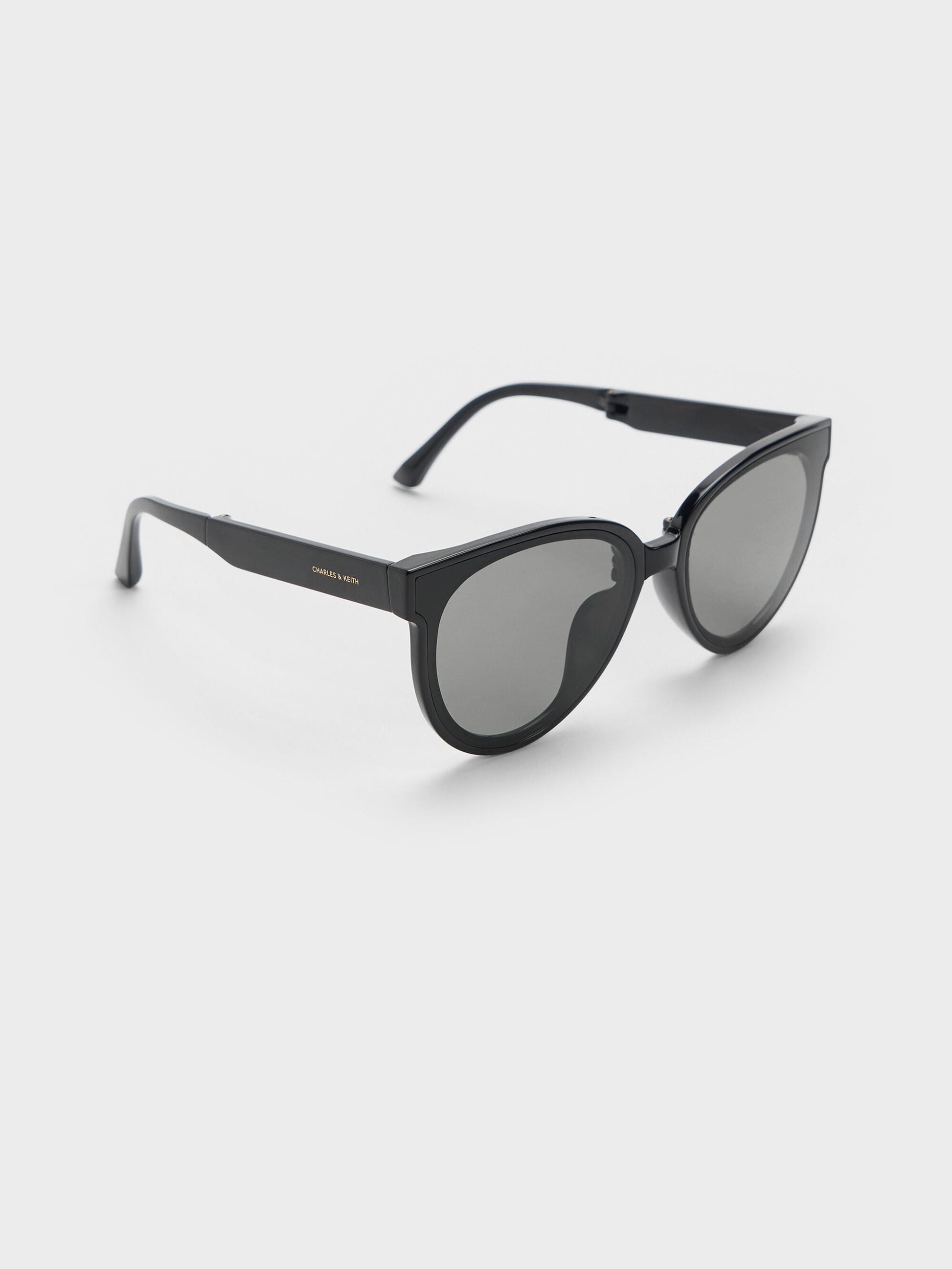 Brea Foldable Aviator Sunglasses - Black | CHARLES & KEITH