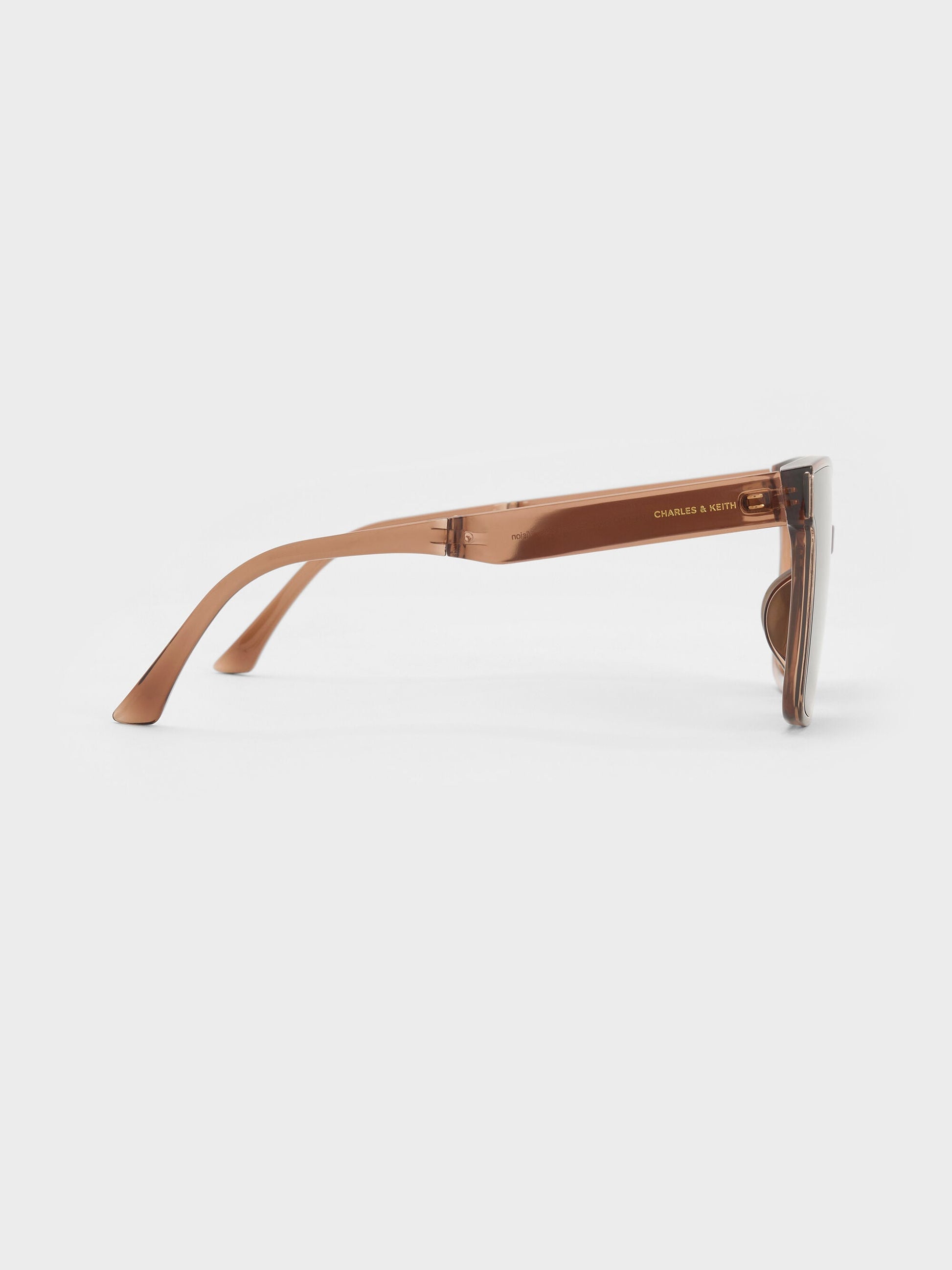 Brea Foldable Sunglasses - Chestnut Brown | CHARLES & KEITH