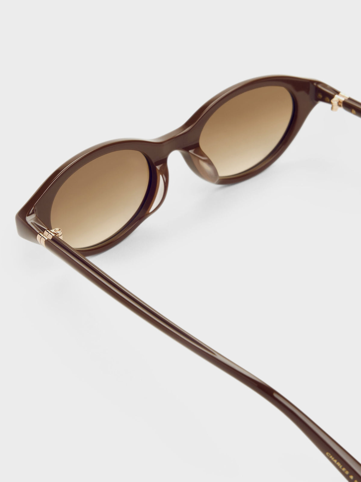 Pecola Oval Sunglasses - Pecan Brown | CHARLES & KEITH