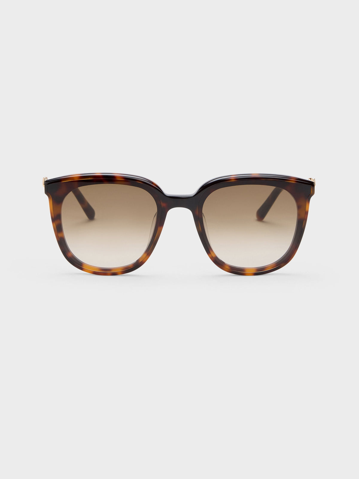 Paige Bow Square Sunglasses - T. Shell | CHARLES & KEITH