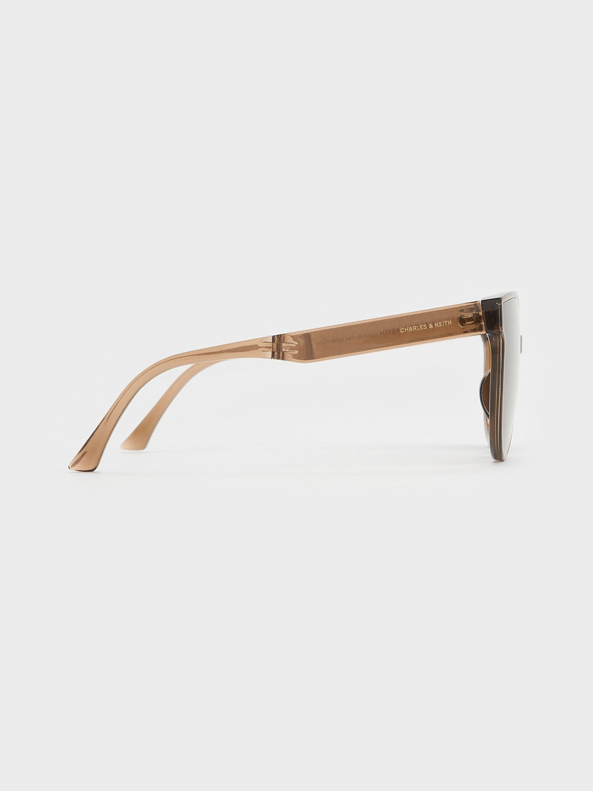 Brea Foldable Aviator Sunglasses - Chestnut Brown | CHARLES & KEITH