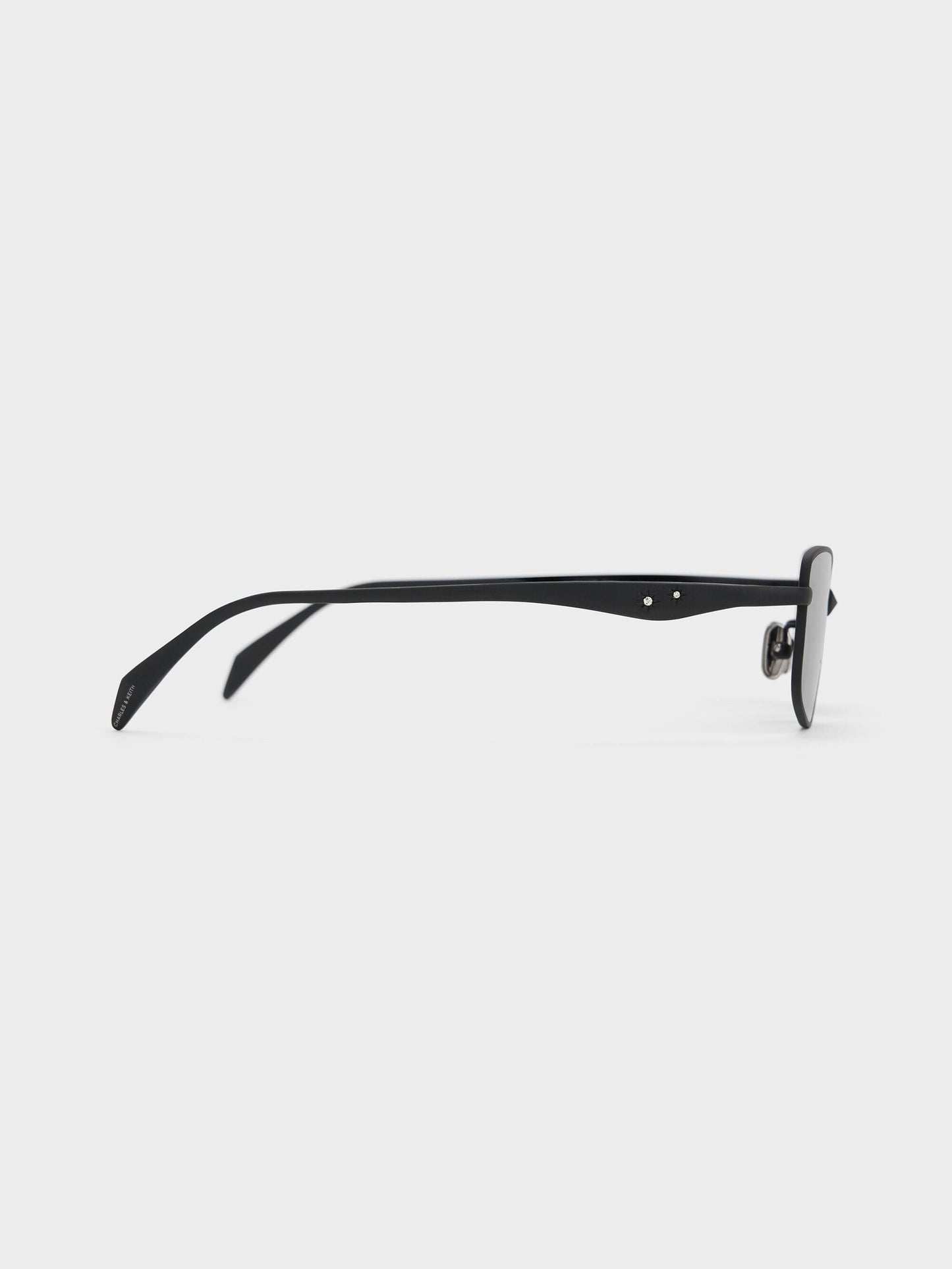 Celestia Rectangular Sunglasses - Noir | CHARLES & KEITH