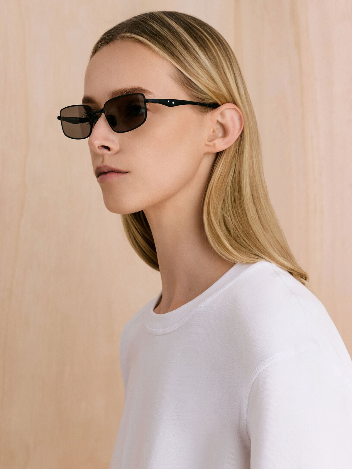 Celestia Rectangular Sunglasses - Noir | CHARLES & KEITH